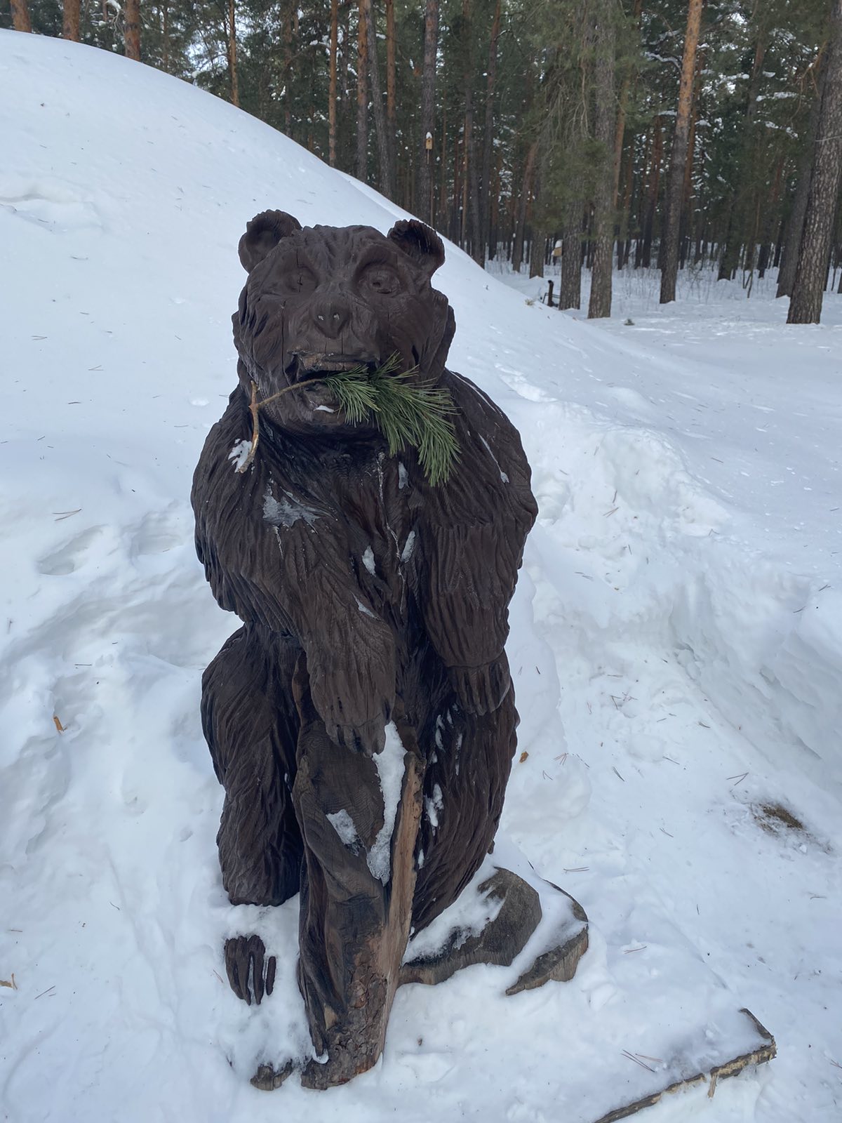 Фото Олимпия