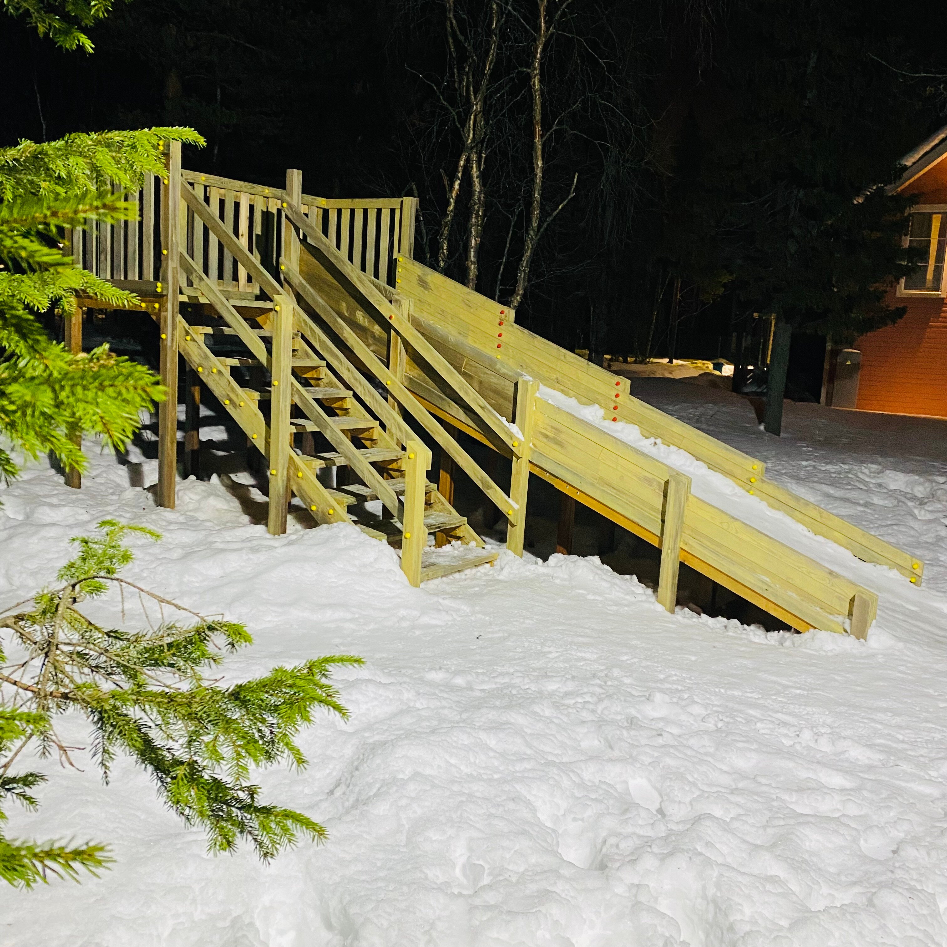 Фото Лесная