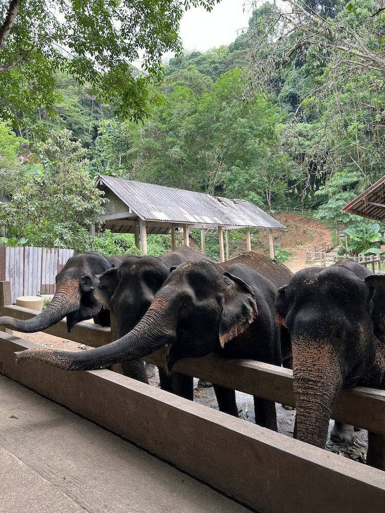 Фото Ton Pling Khao Lak Villa