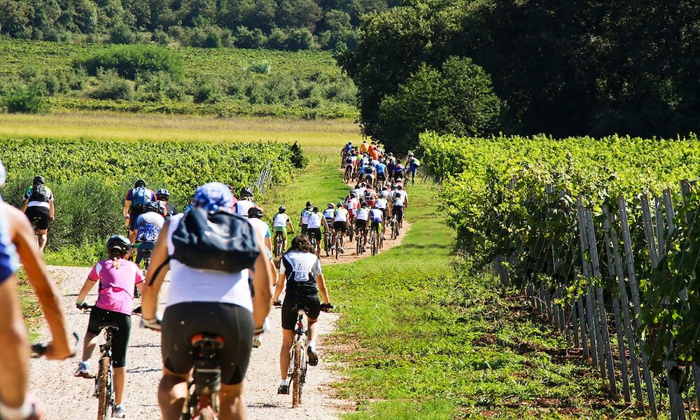 Фото Willa Trojka