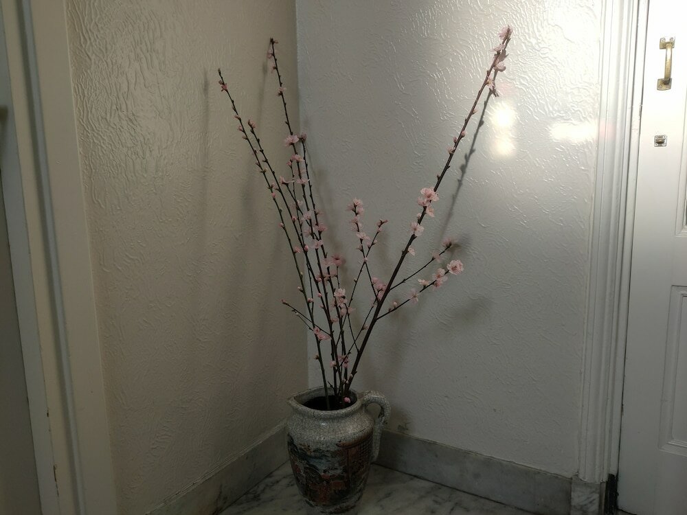 Фото B&b Hart van Leiden