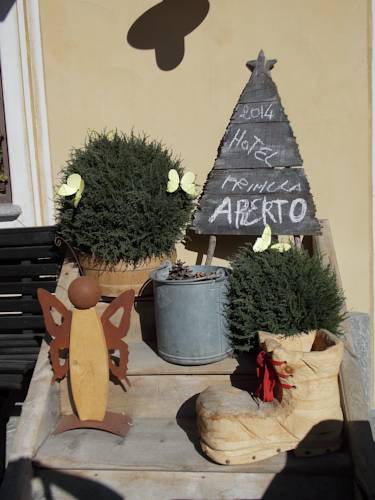 Фото Hotel Primula