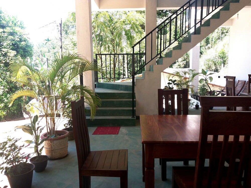 Фото Misty Elegance Ella