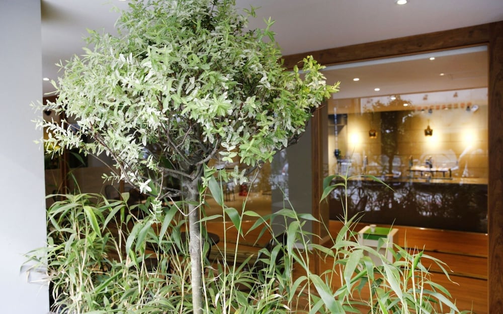 Фото Hostel Vene