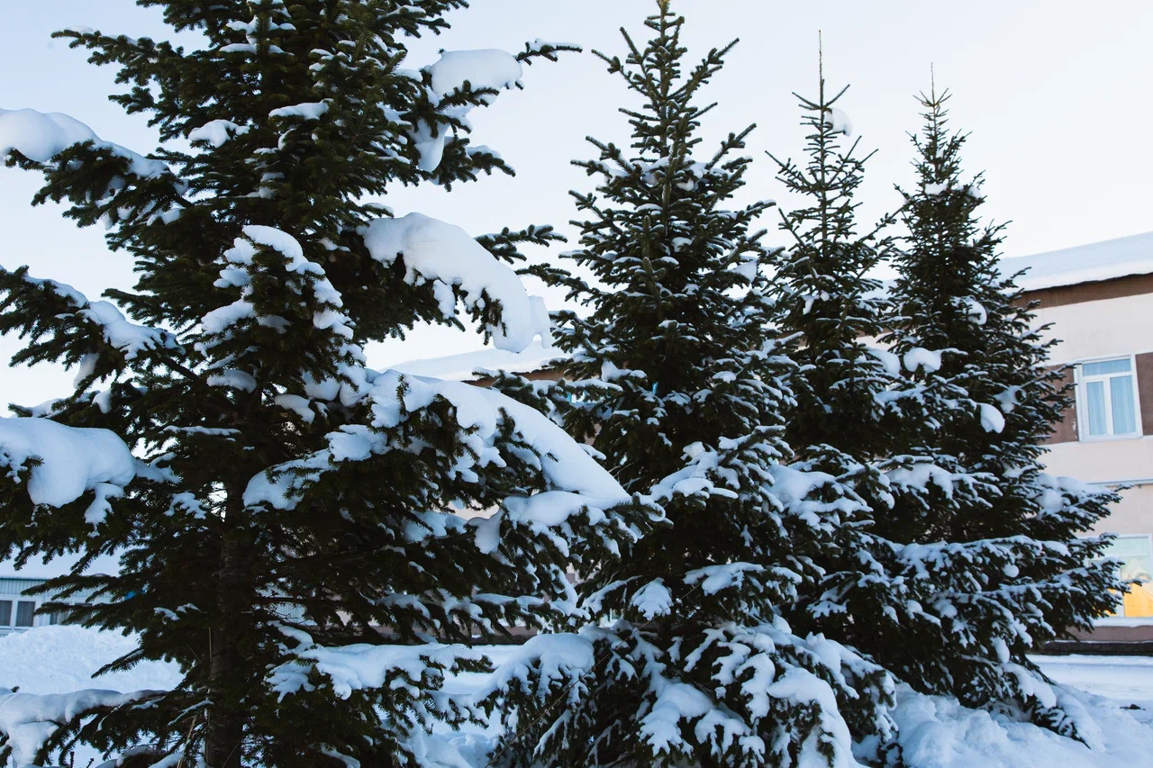 Фото Маргобай