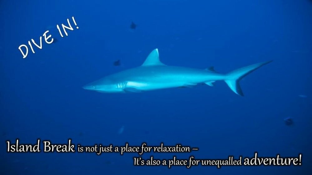 Фото Islandbreak