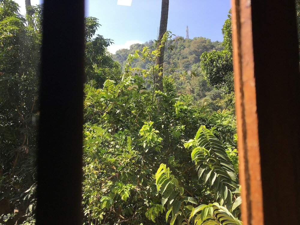 Фото Kandy Home Stay Villa