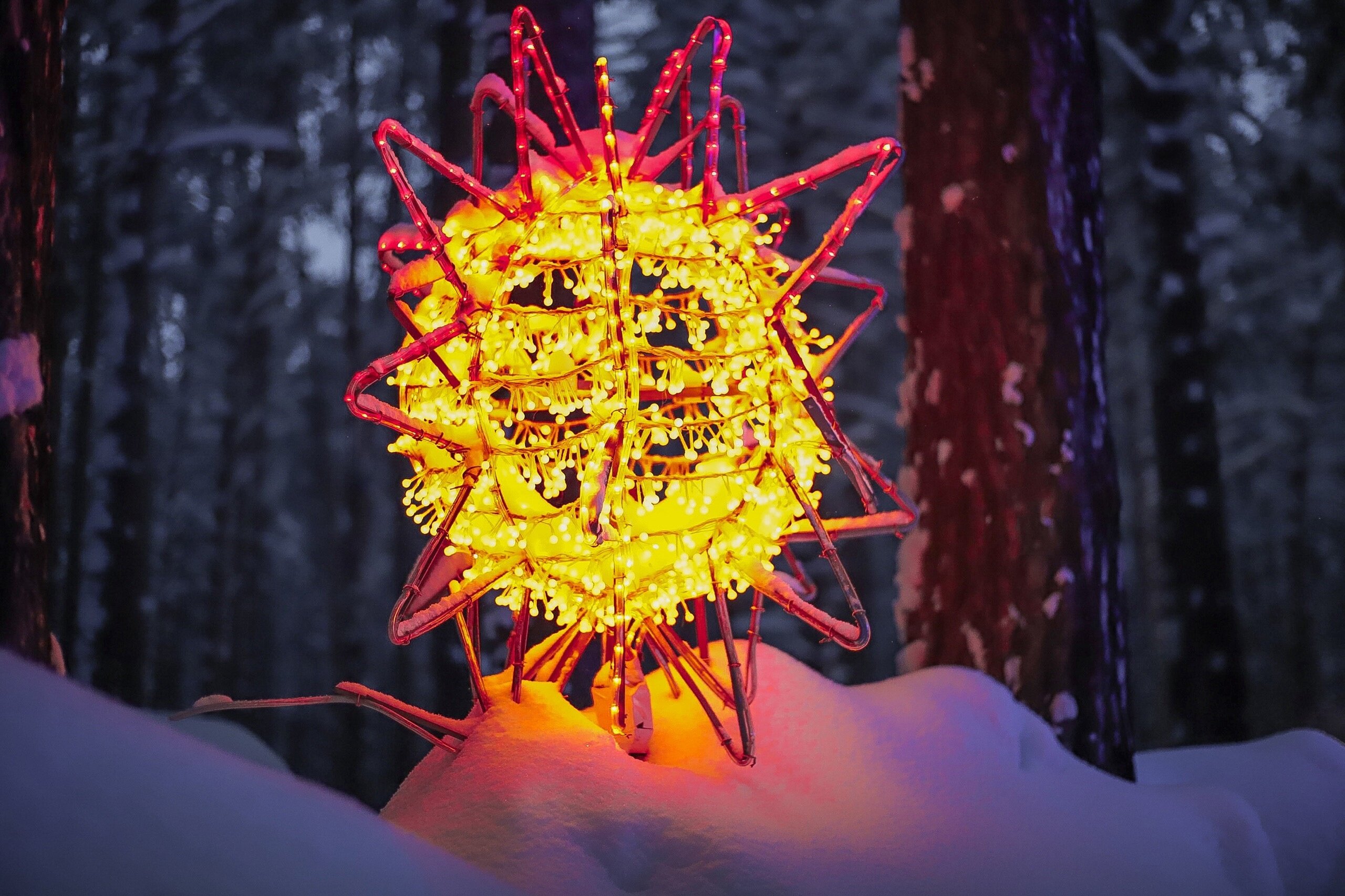 Фото ДухЛес