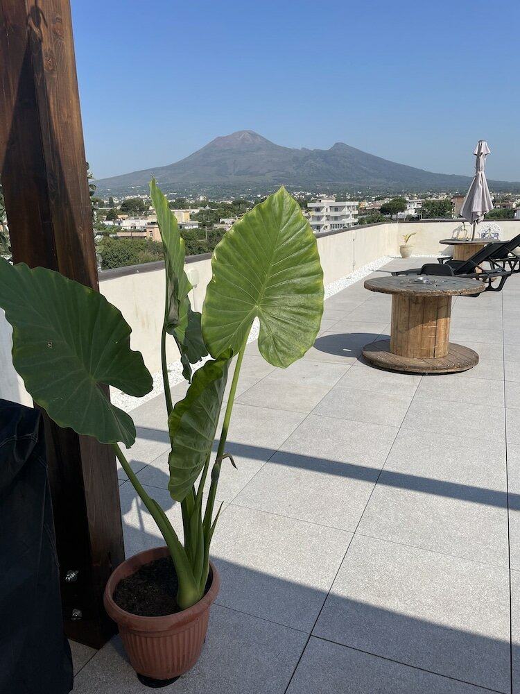 Фото Pompei Window