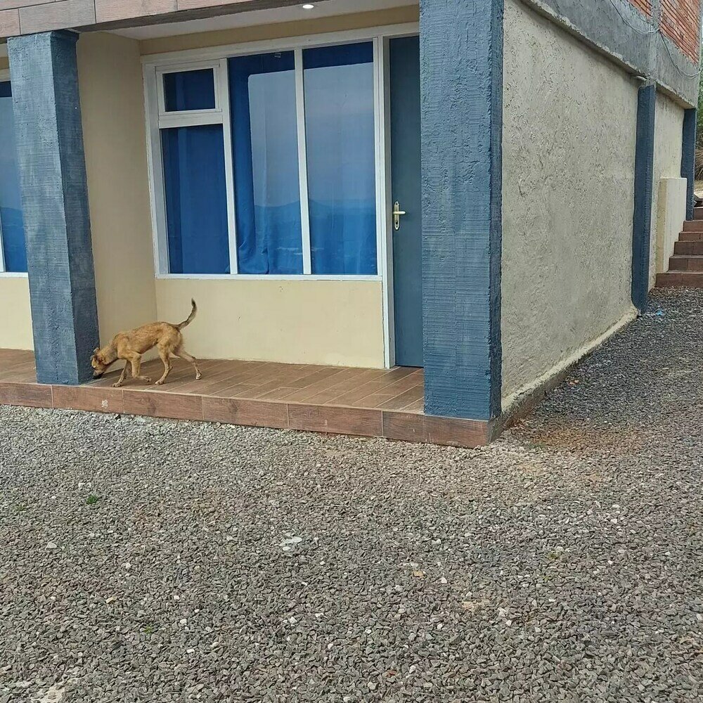 Фото Belleviewcondominium