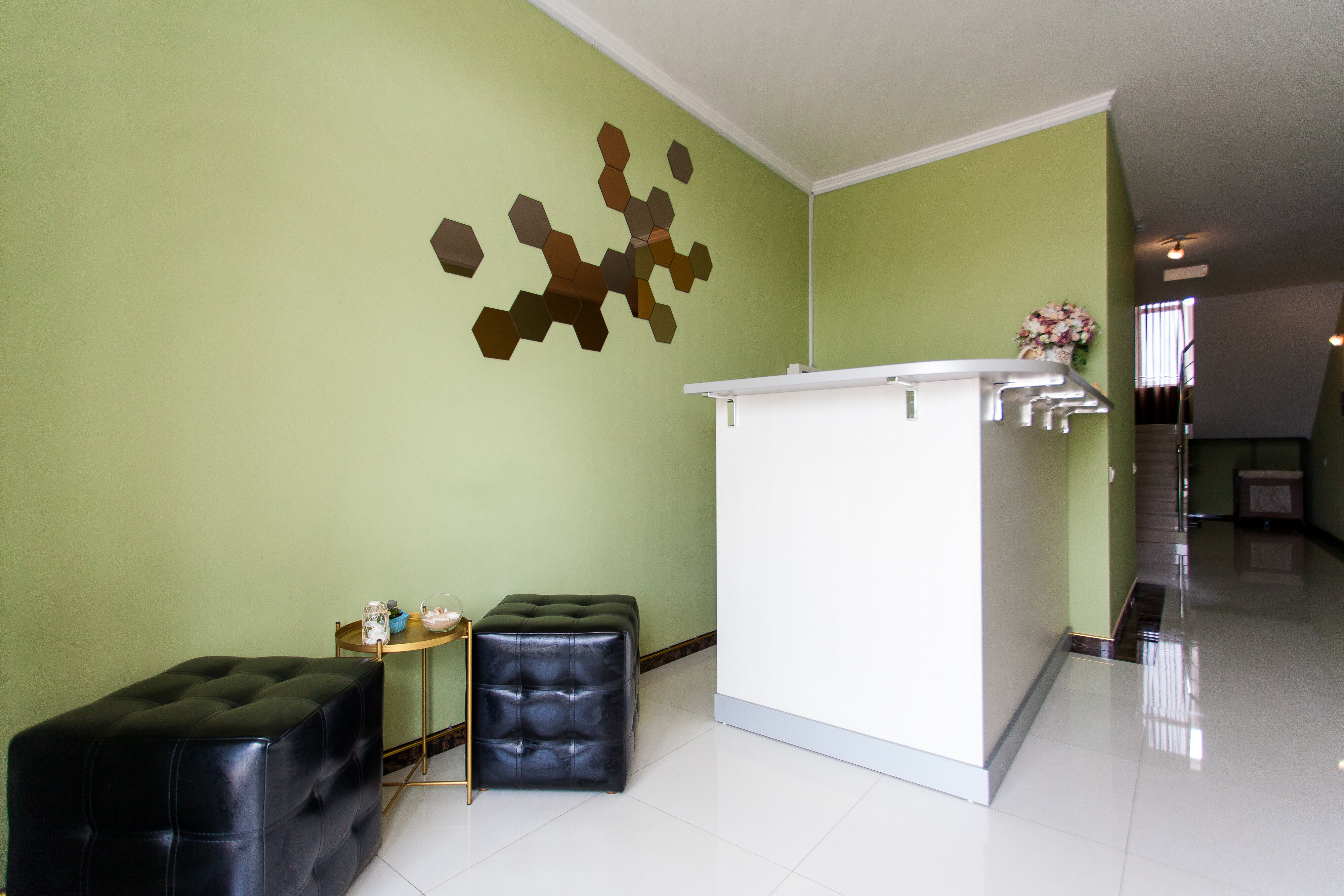 Фото Мангостин