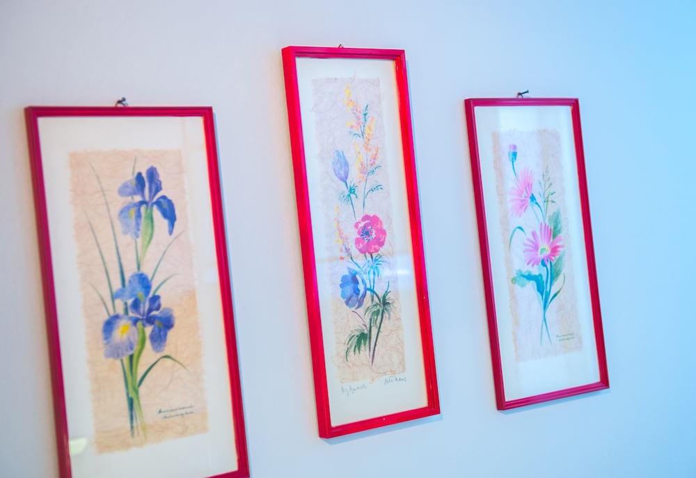 Фото Yellow Lilly Mostar Apartment