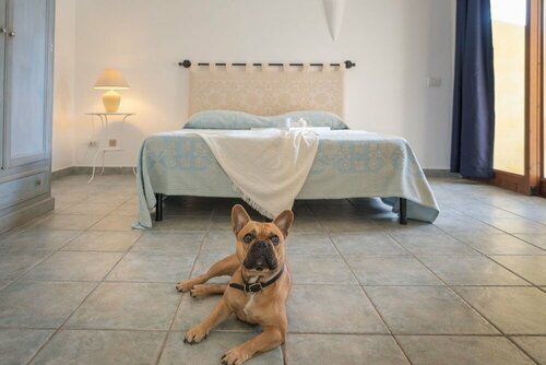 Апартаменты Tranquil Palau Green Village Studio Sleeps 2 Child