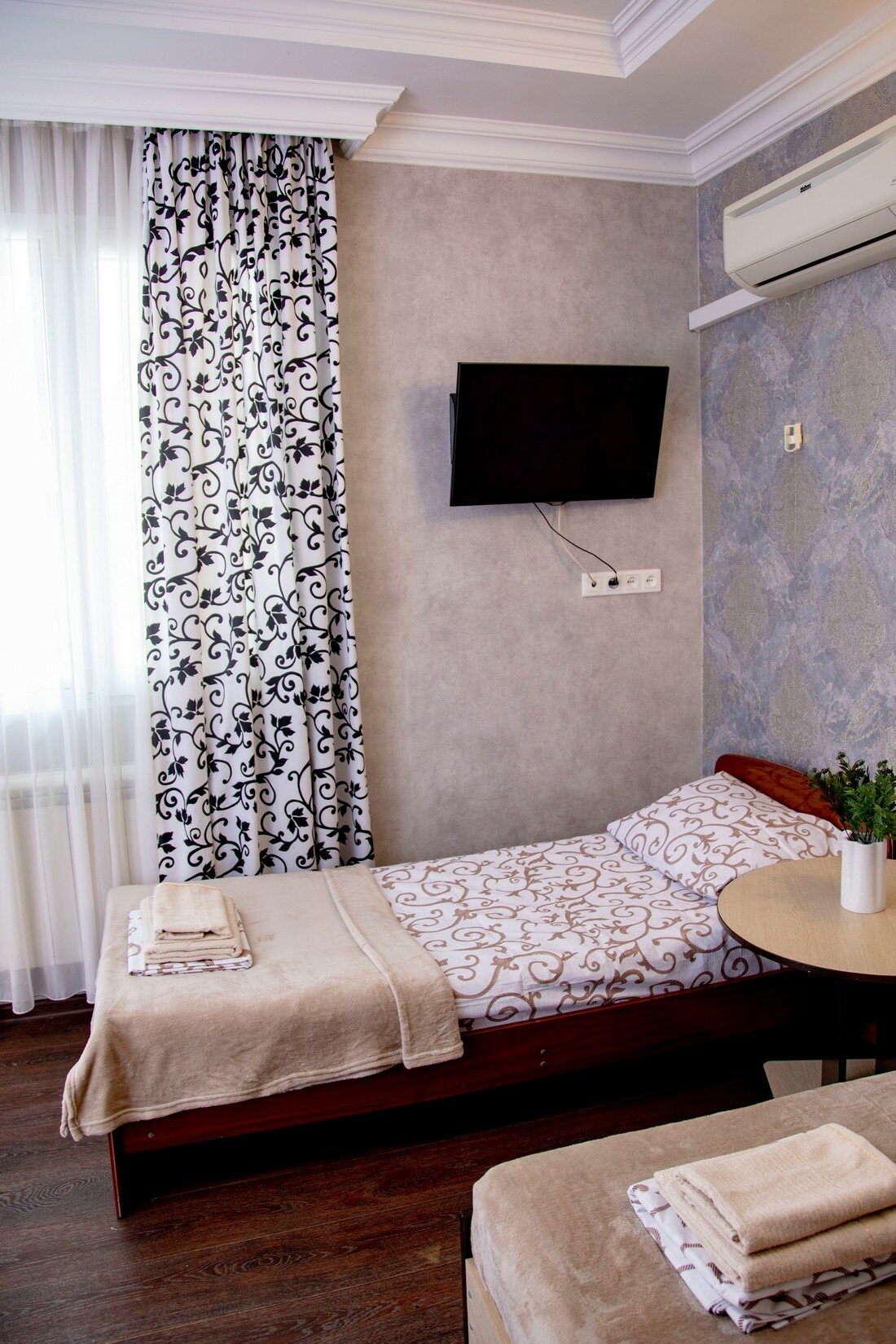 Фото Кенгуру