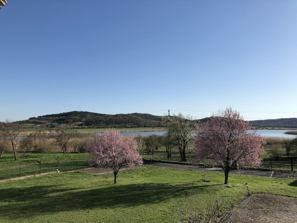 Фото The Houses of History - anno 1830