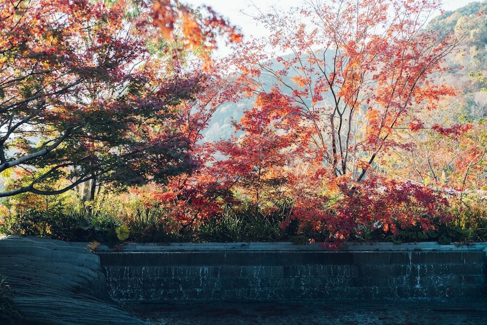 Фото Muni Kyoto by Onko Chishin