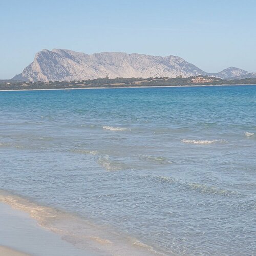 Апартаменты San Teodoro 7 Sleeps Asfodeli Holiday Apartment