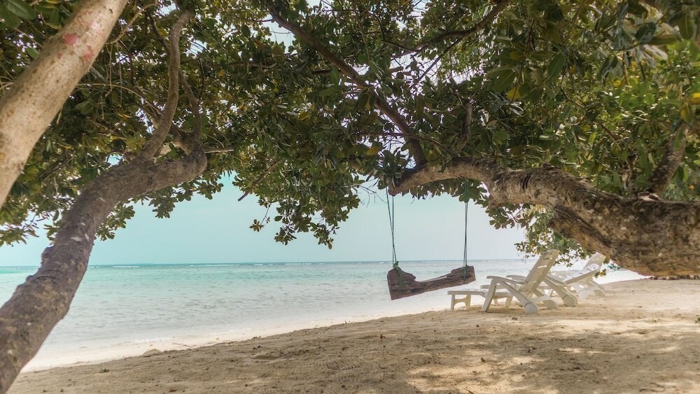 Фото Palm Rest Maldives