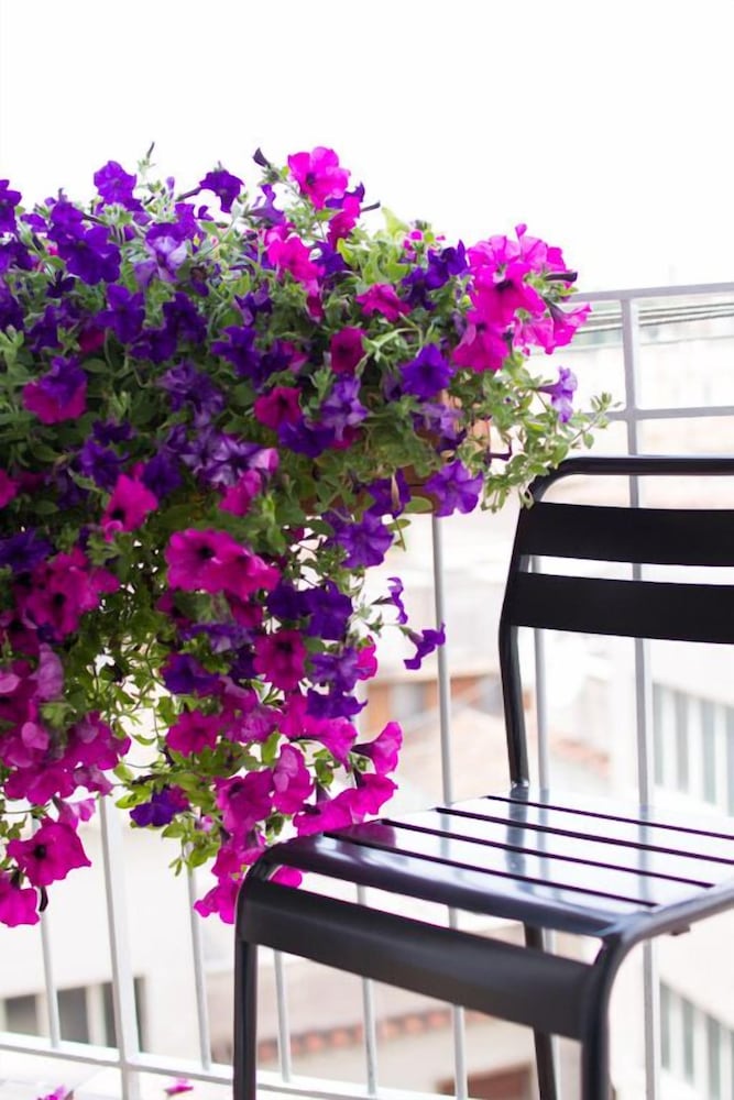 Фото Relais Star of Trastevere