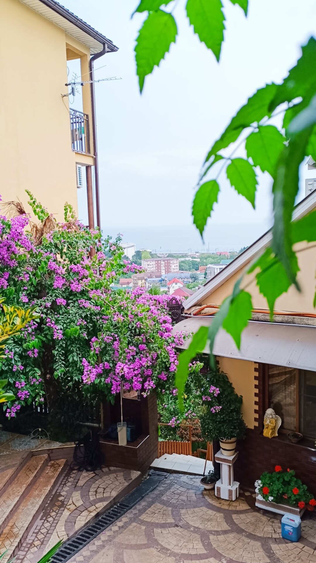 Фото У Луизы