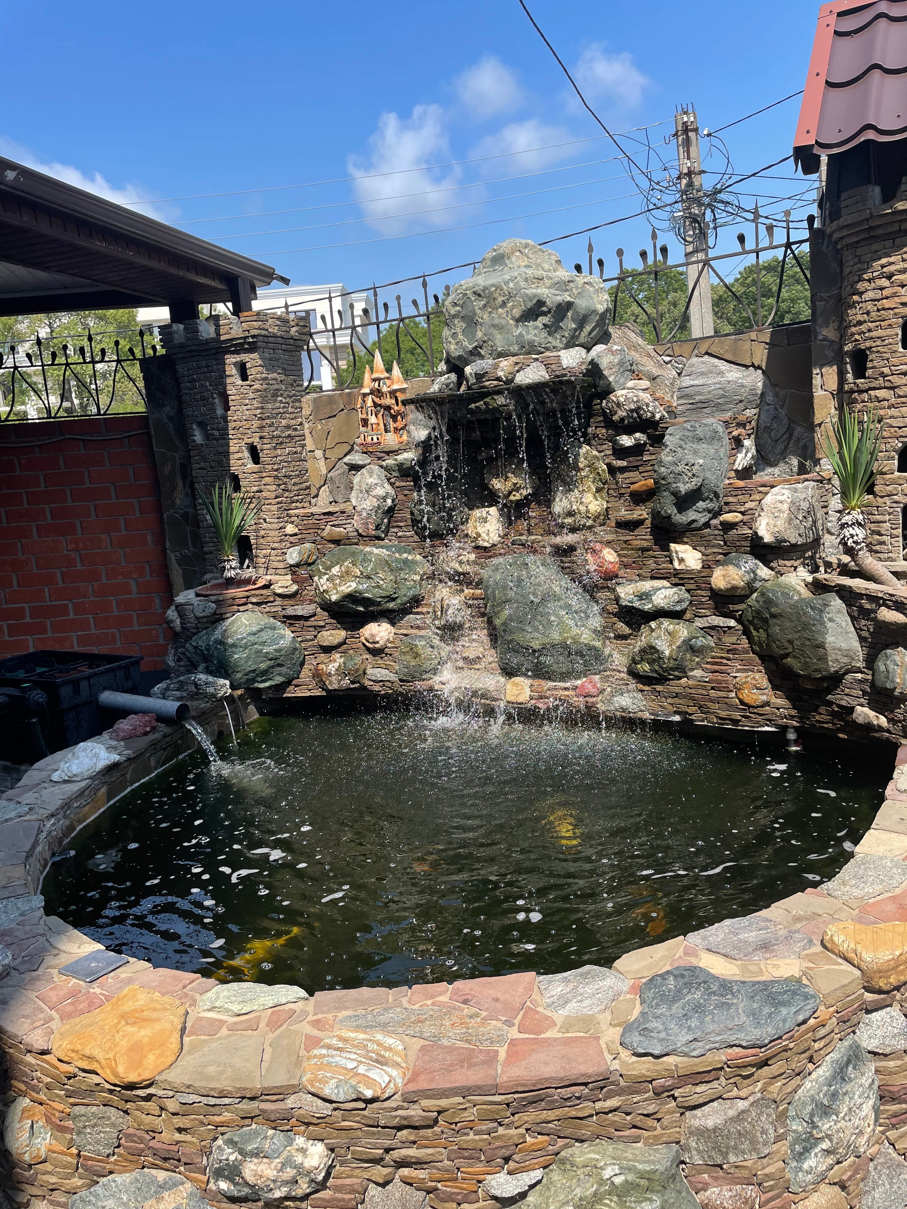 Фото Багира