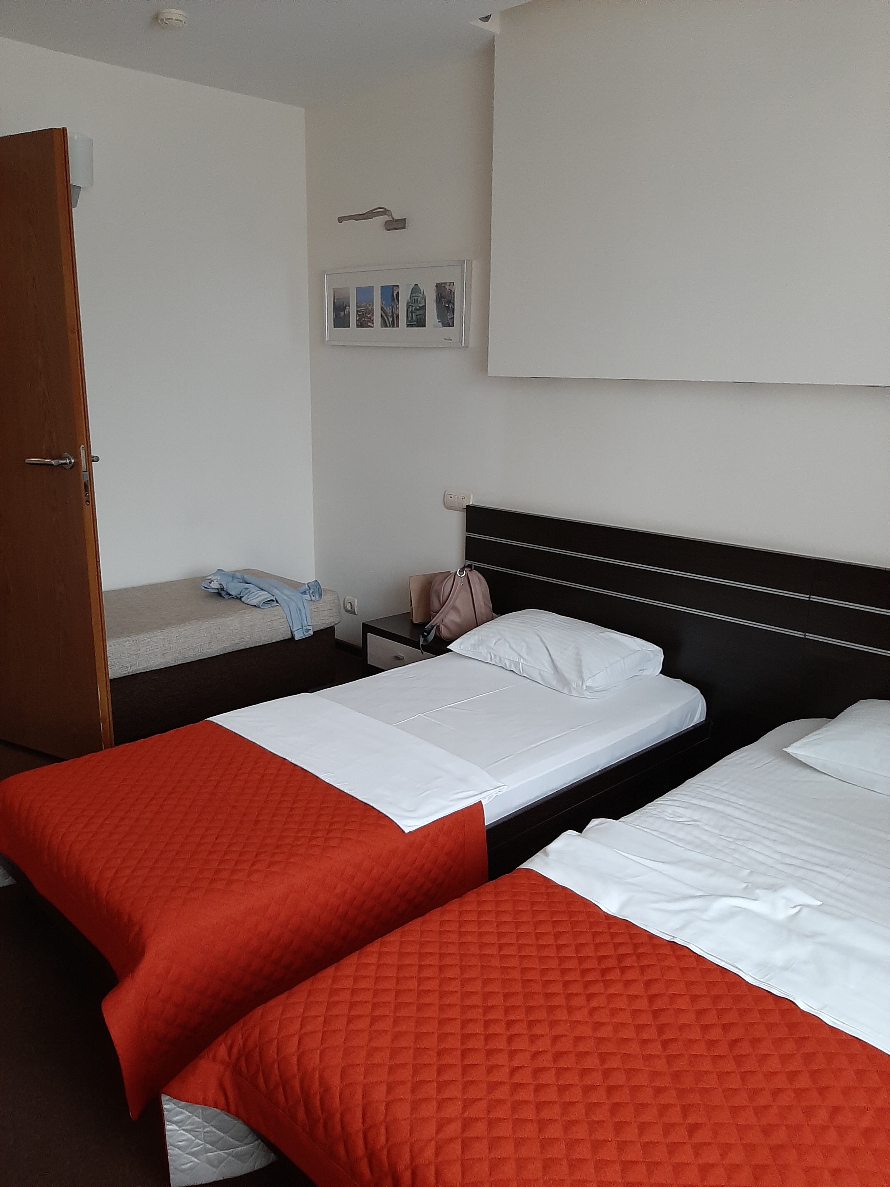 Фото Воробей