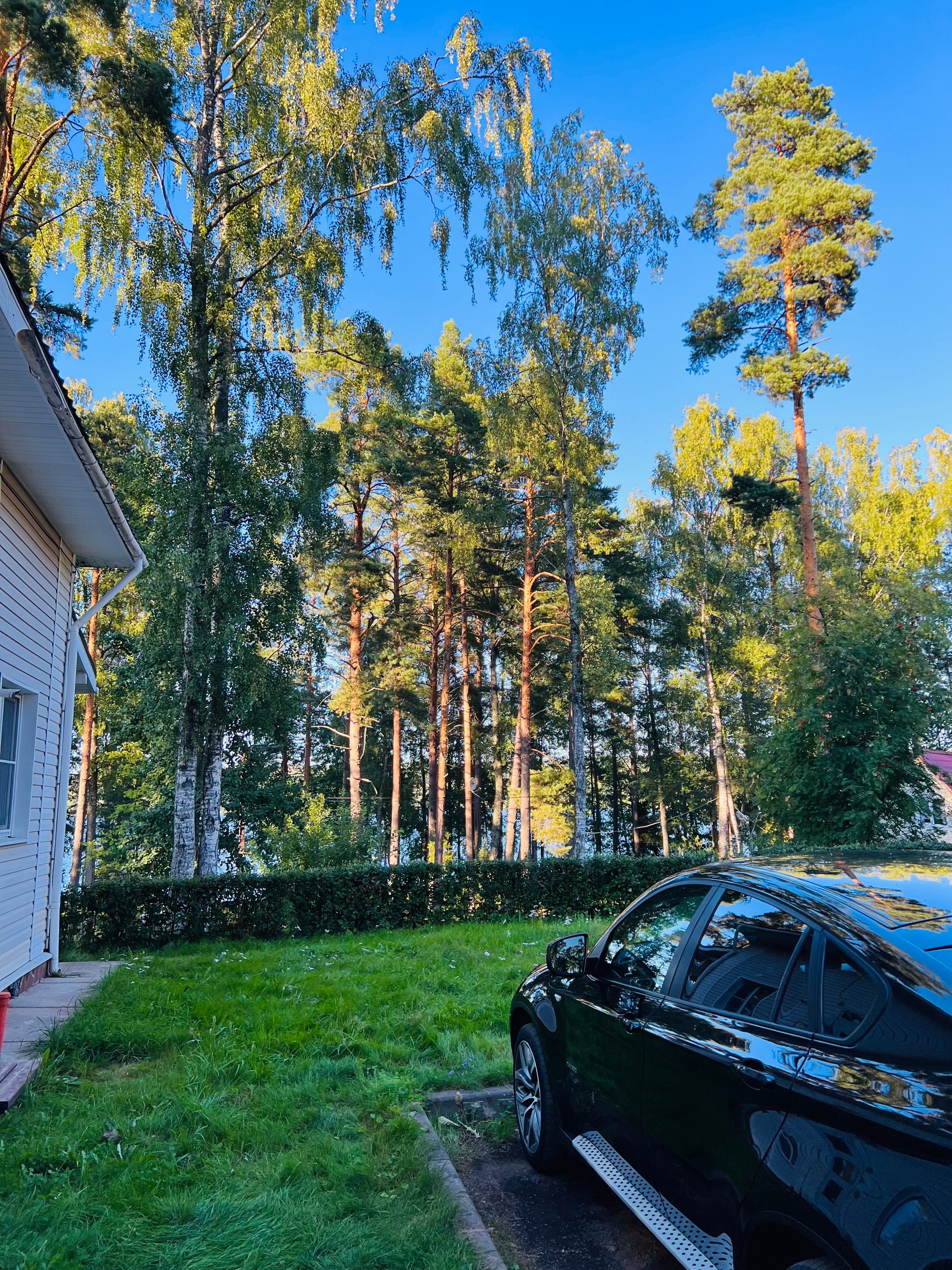 Фото Аврора