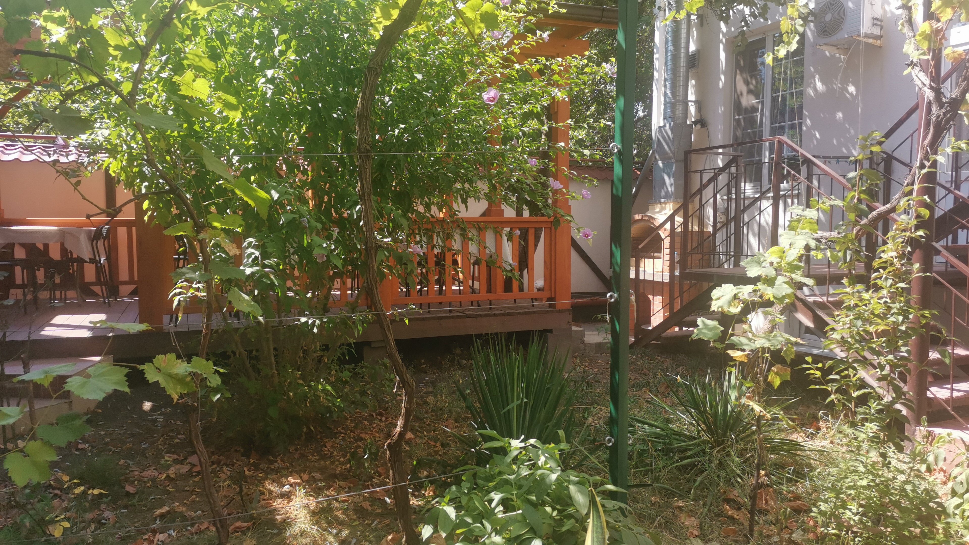 Фото Ангелина