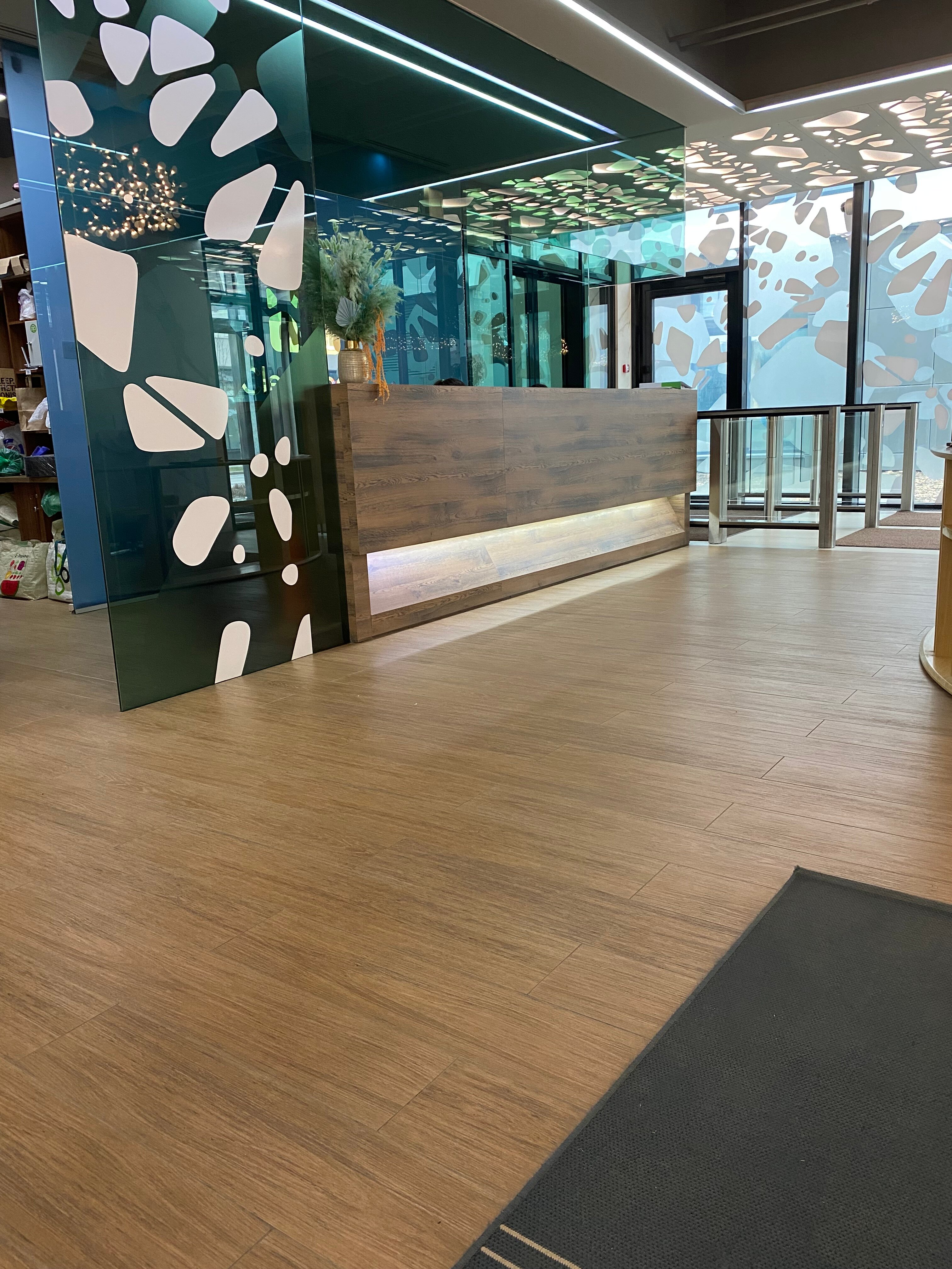 Фото Белый Клевер