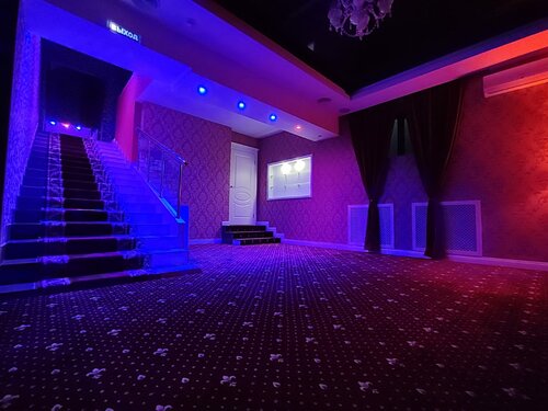 Депардье жыныстық қатынас кезінде ұсталды