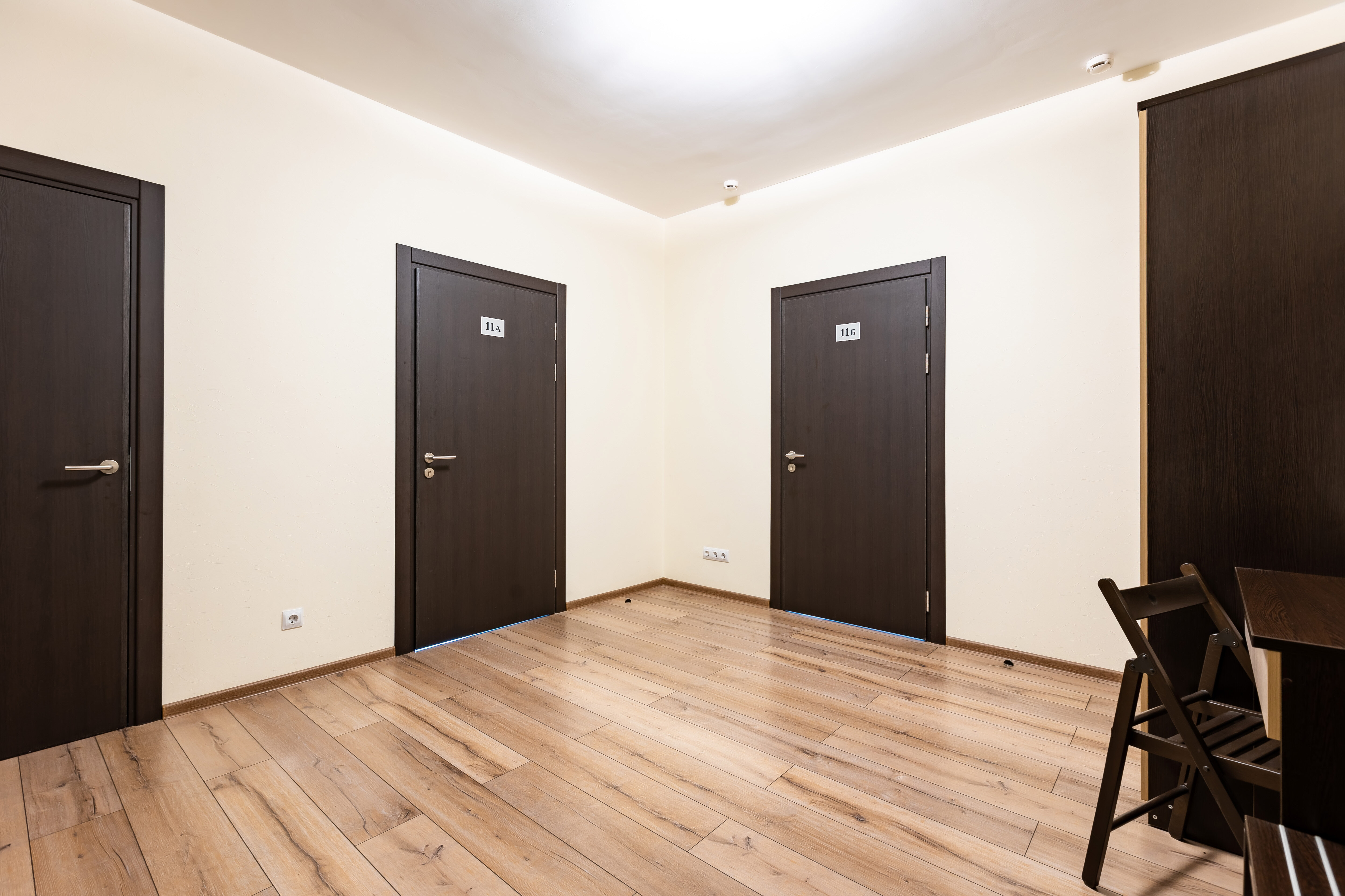 Фото Подсолнух