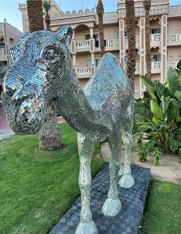 Фото Бич Альбатрос Резорт