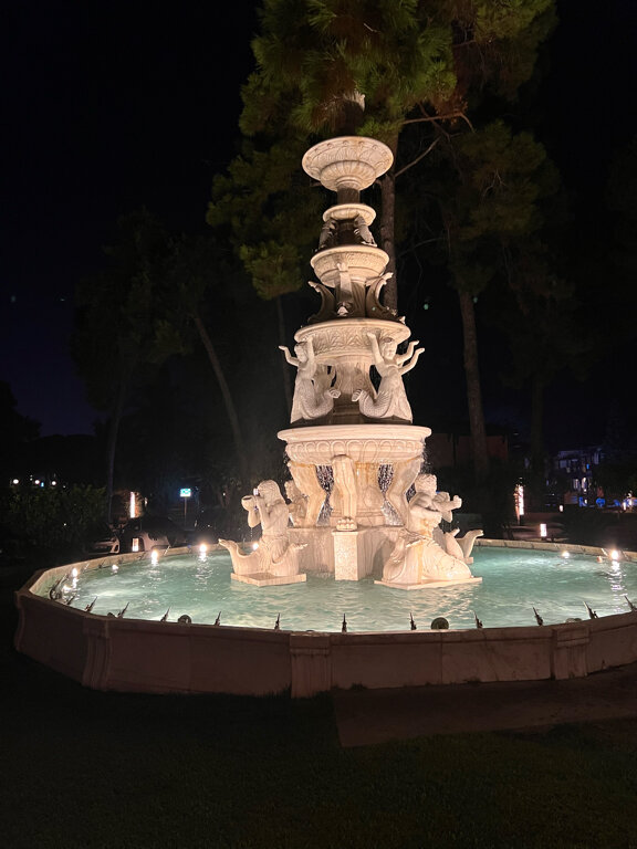 Фото Papillon Ayscha