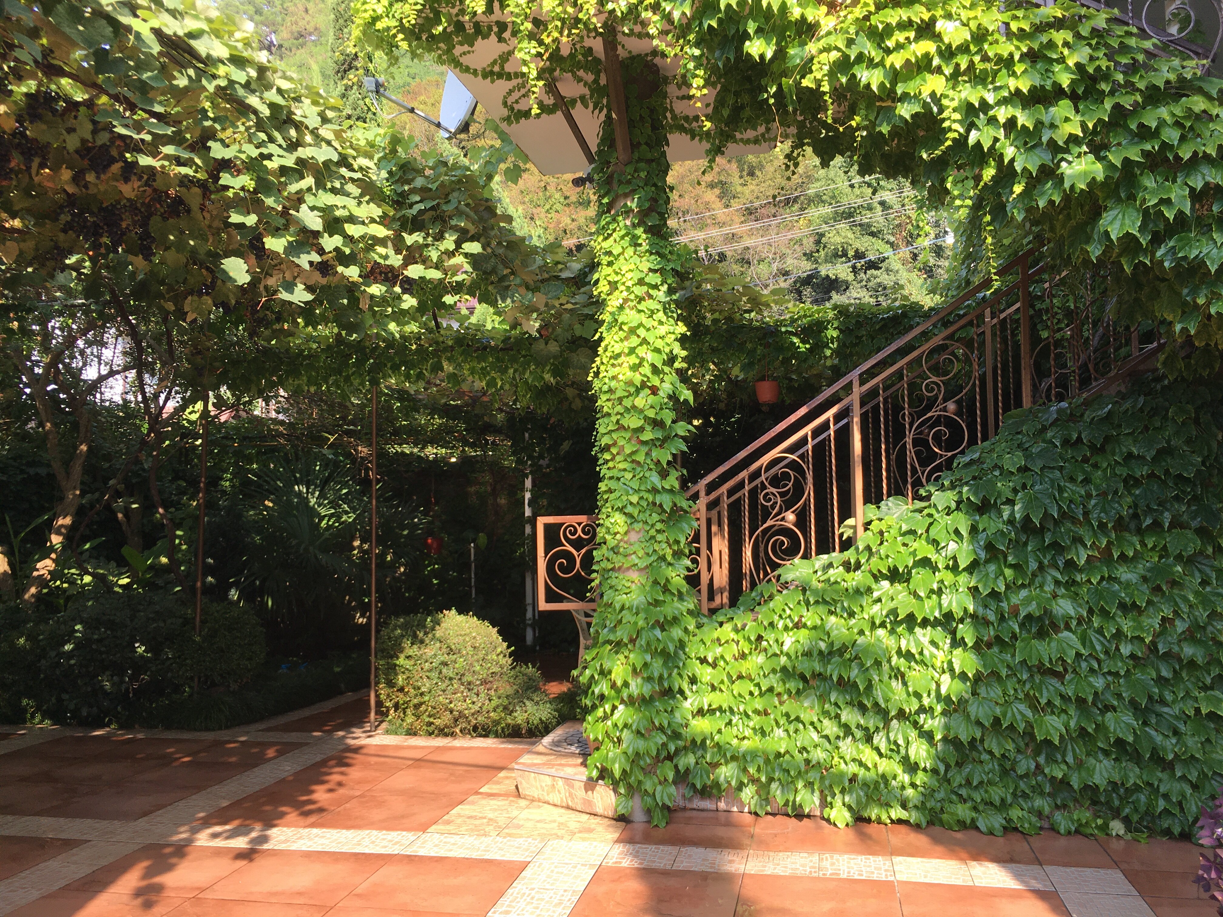 Фото Солоники