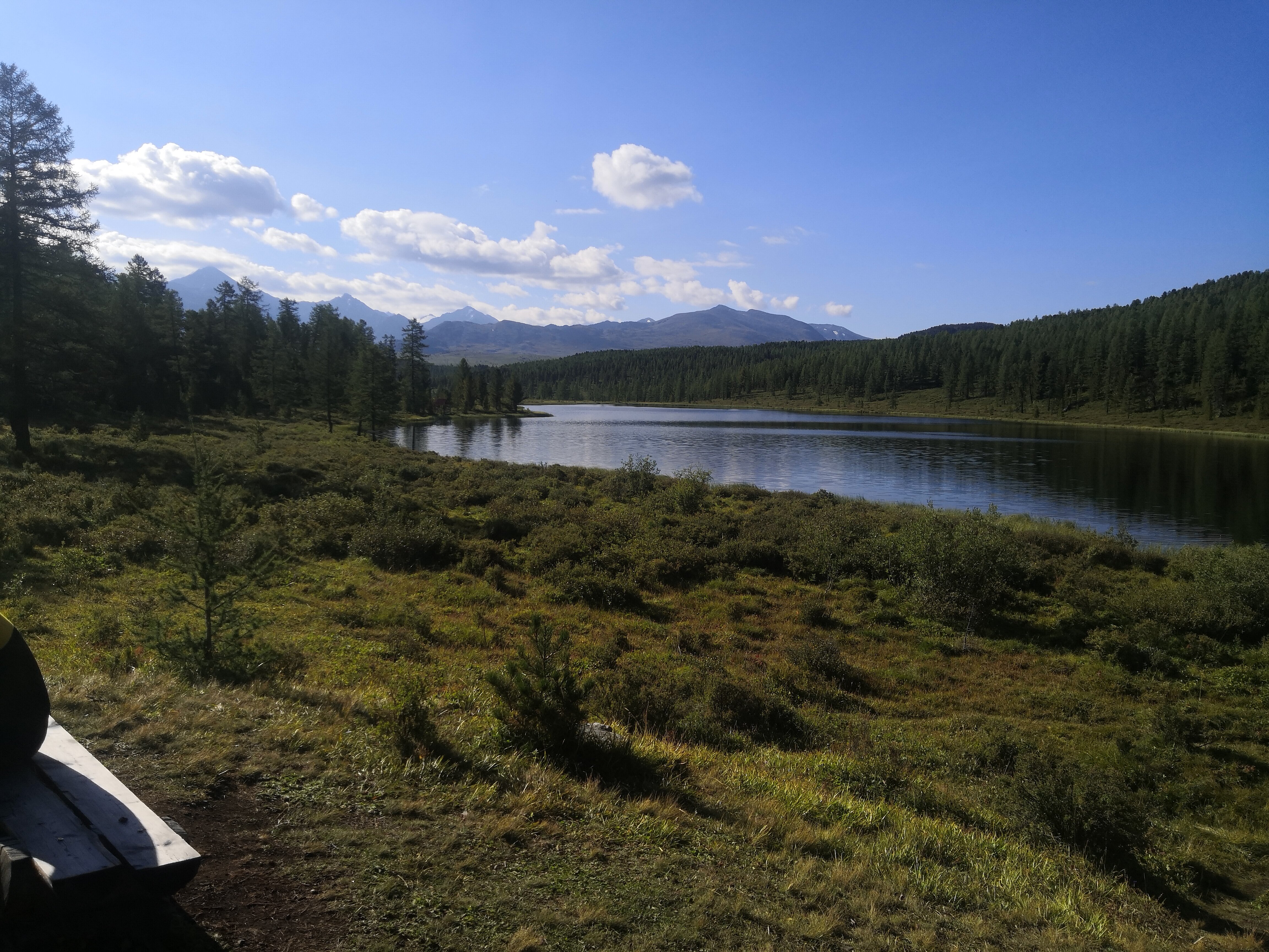 Фото Горный орел