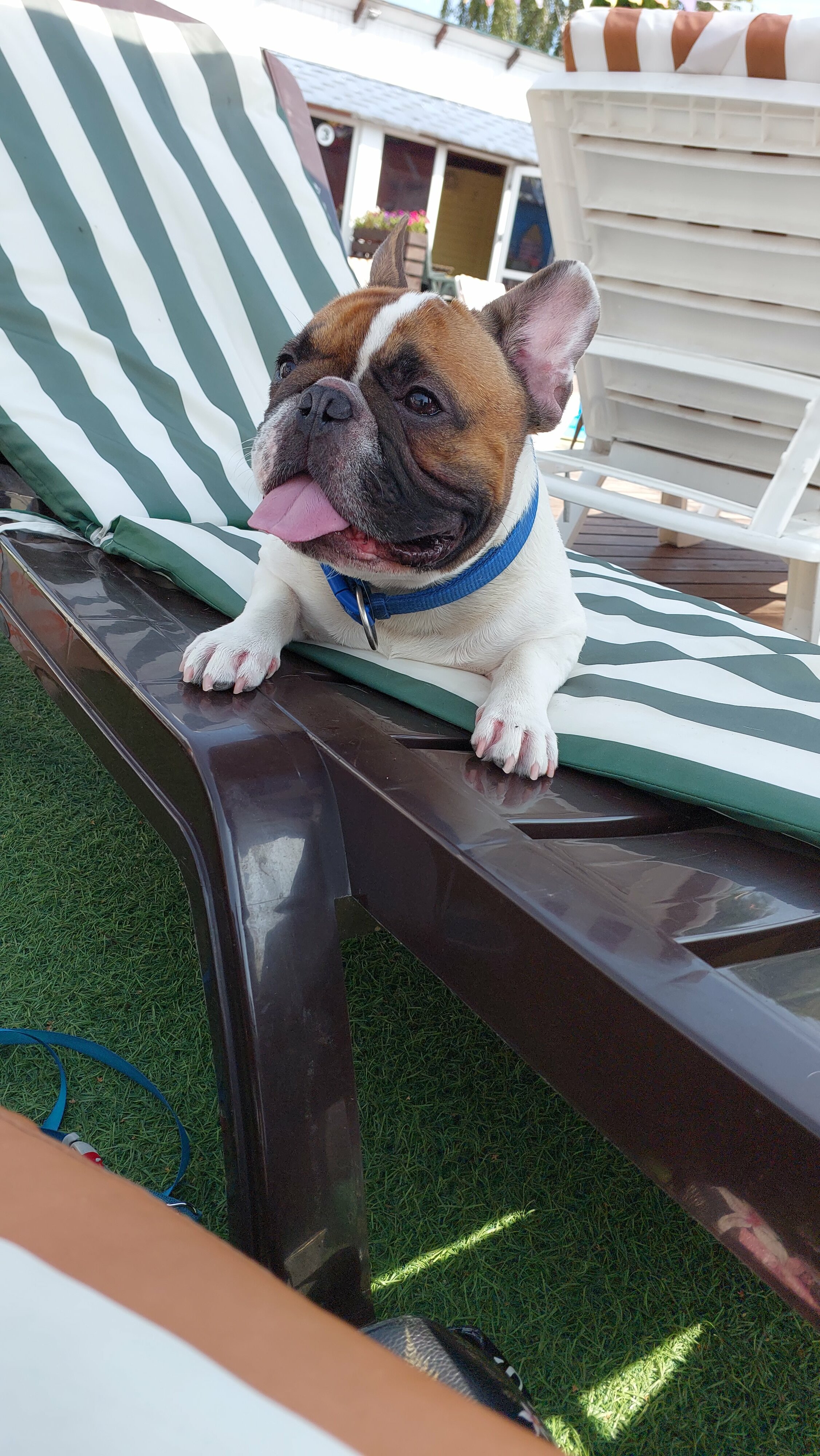 Фото Маёнтак Птичь