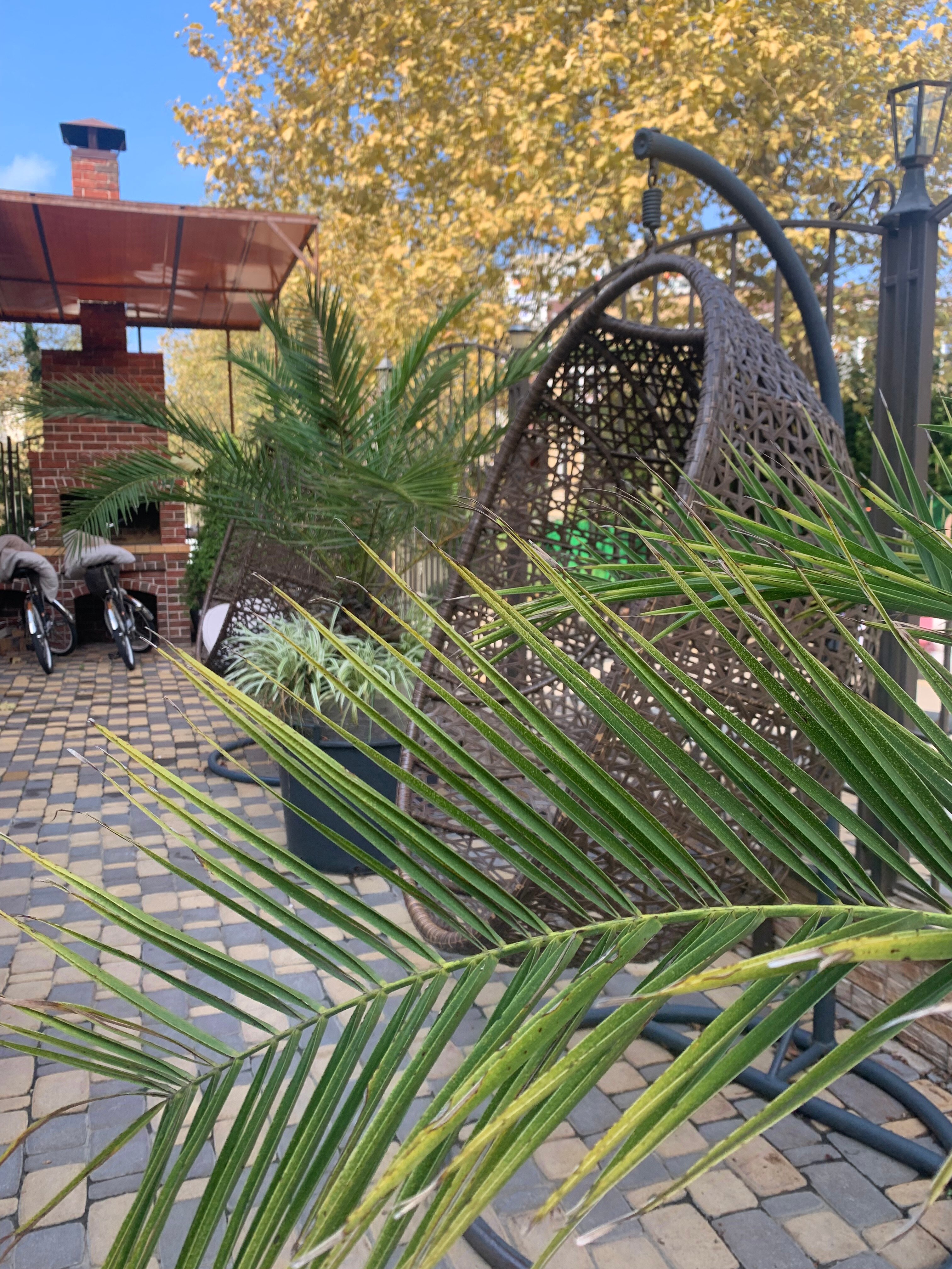 Фото Amigo Panna-Cotta