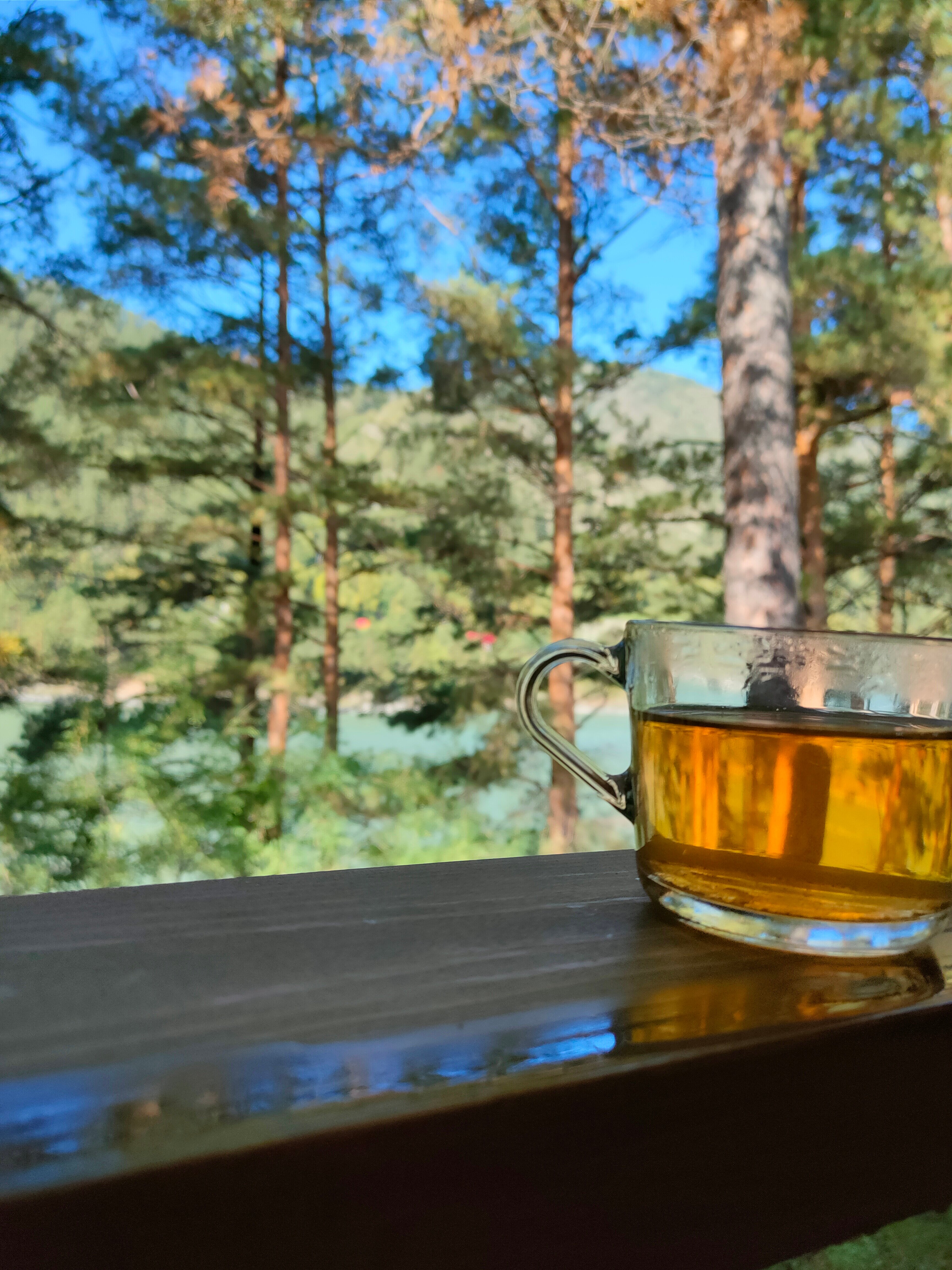 Фото Алтерия