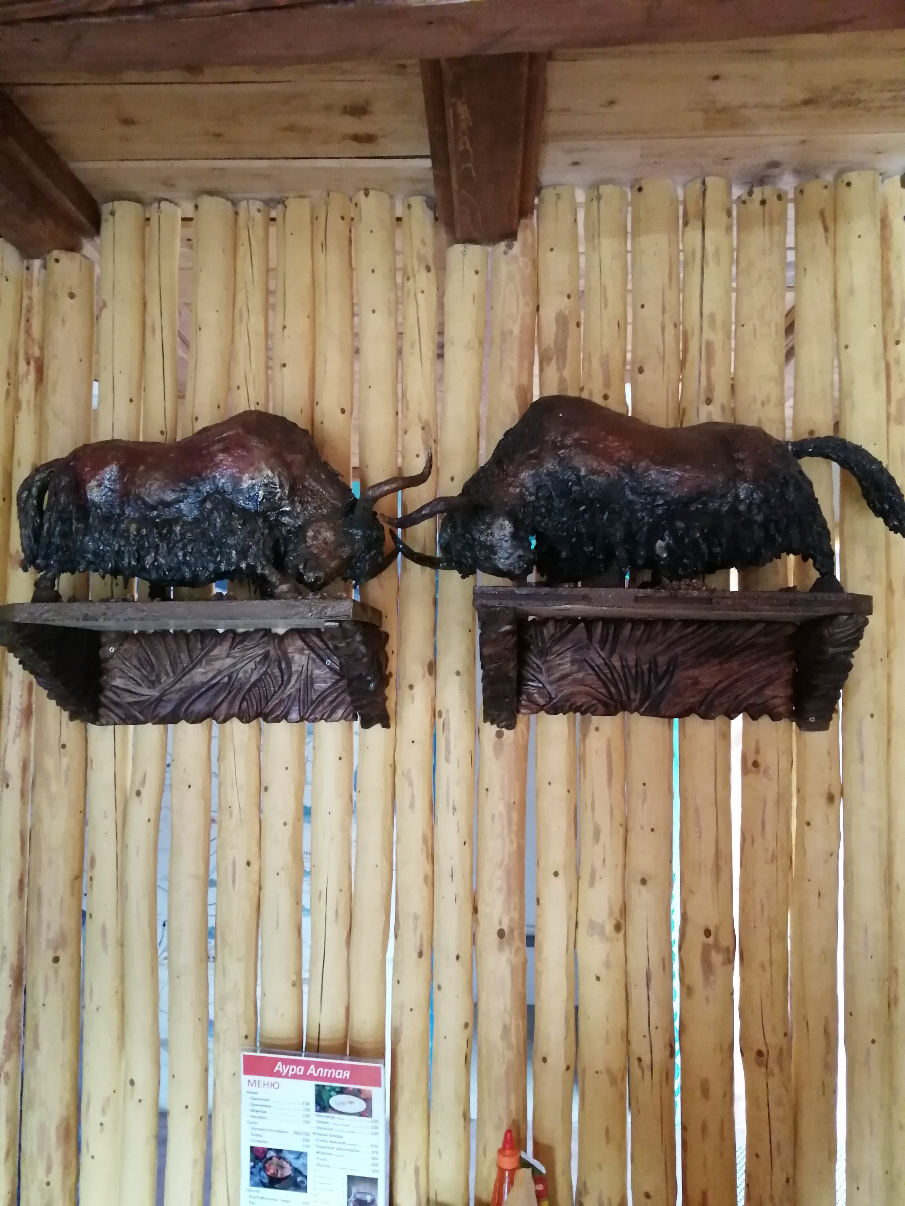 Фото Аура Алтая