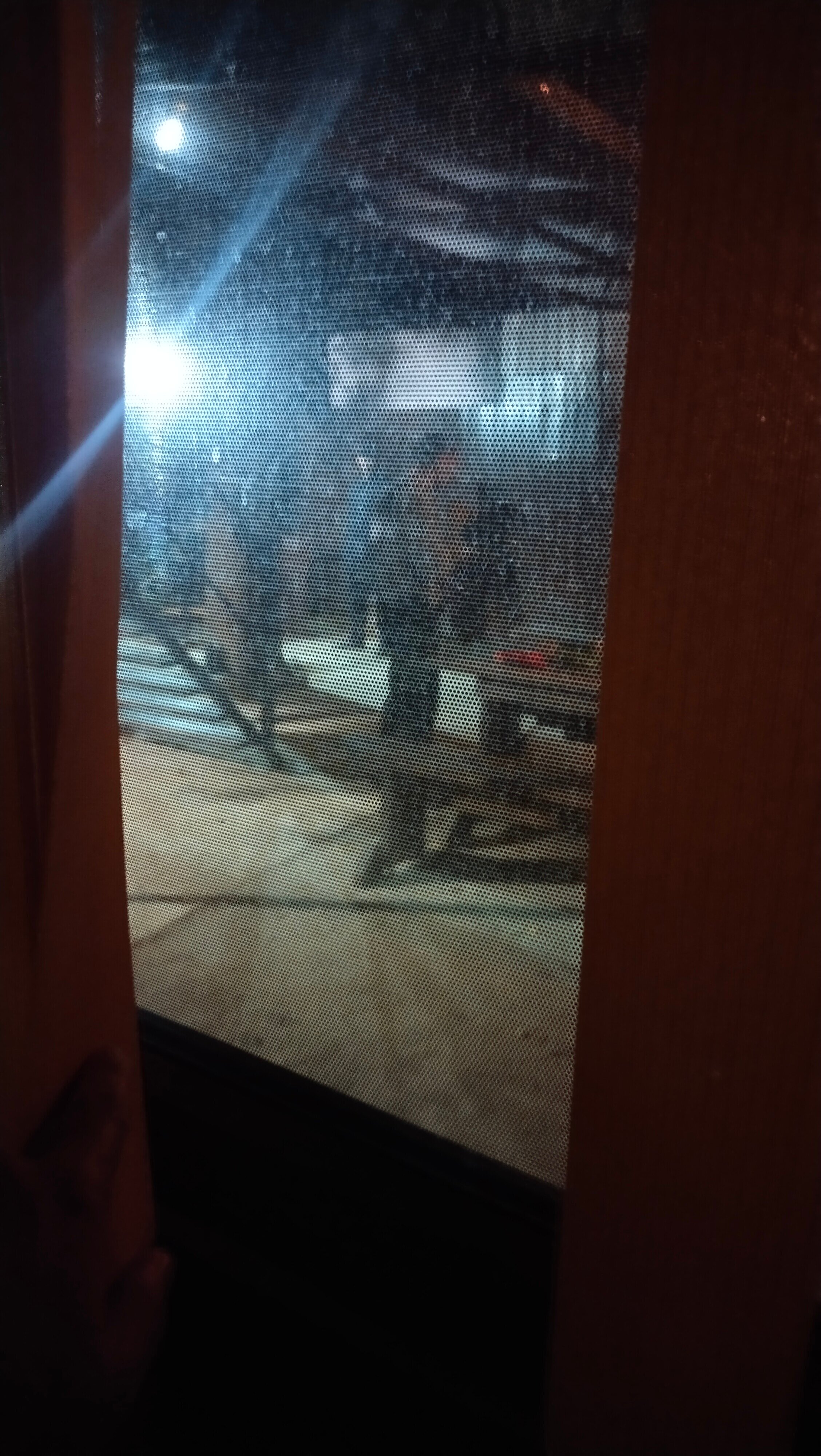 Фото Zёbra House