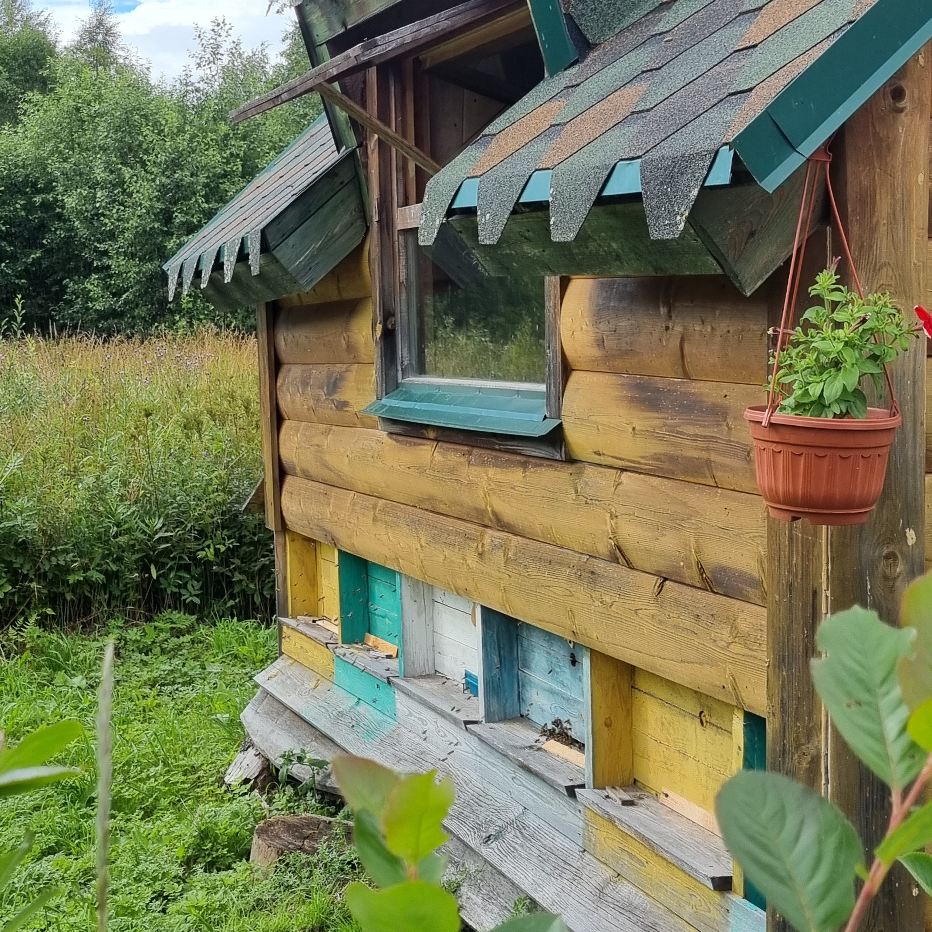 Фото Медовое ранчо