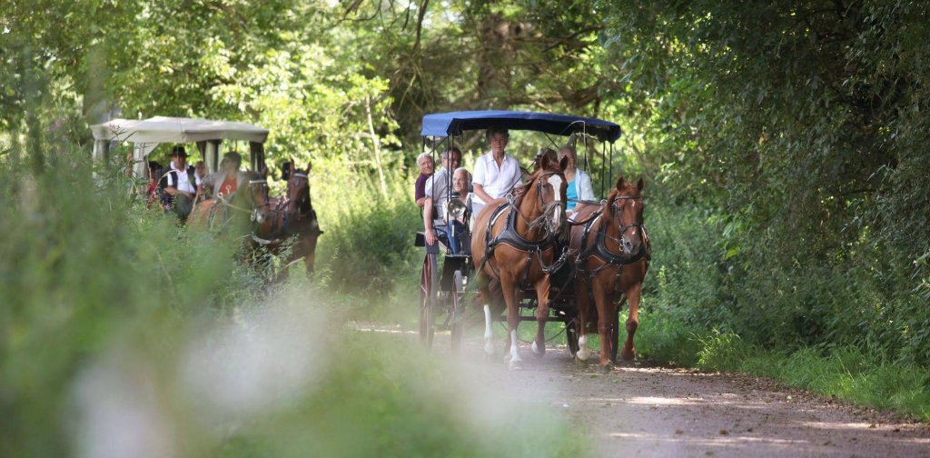 Фото Hotel Central