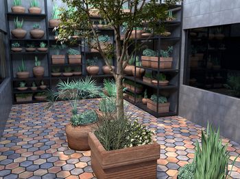 Фото Rosamar Es Blau