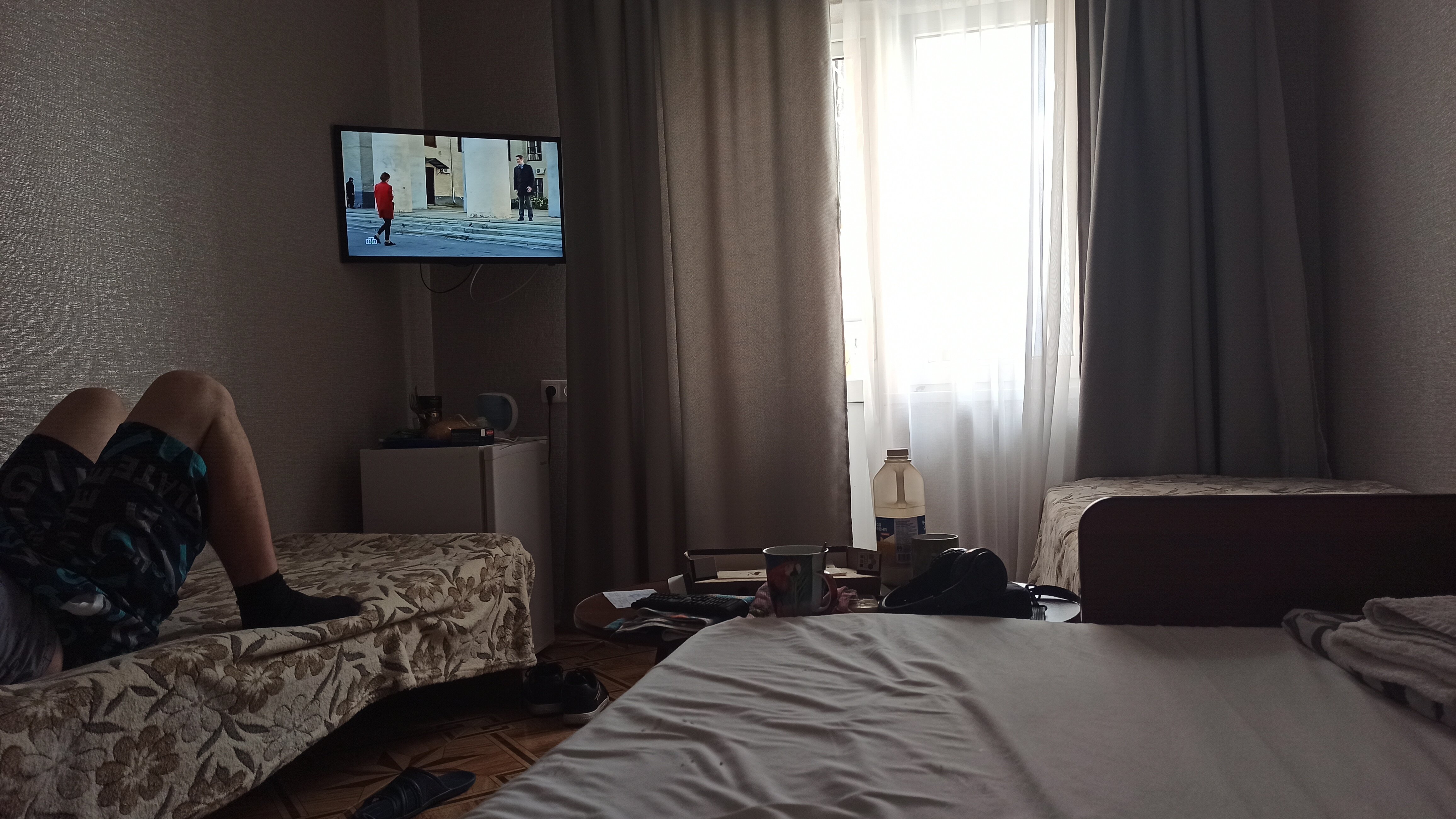 Фото Дельфин