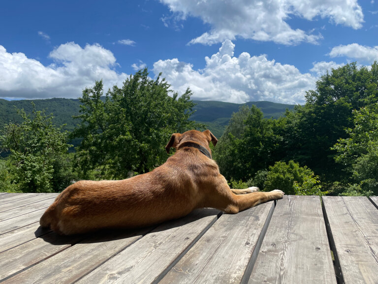 Фото The. Small. Hill. House