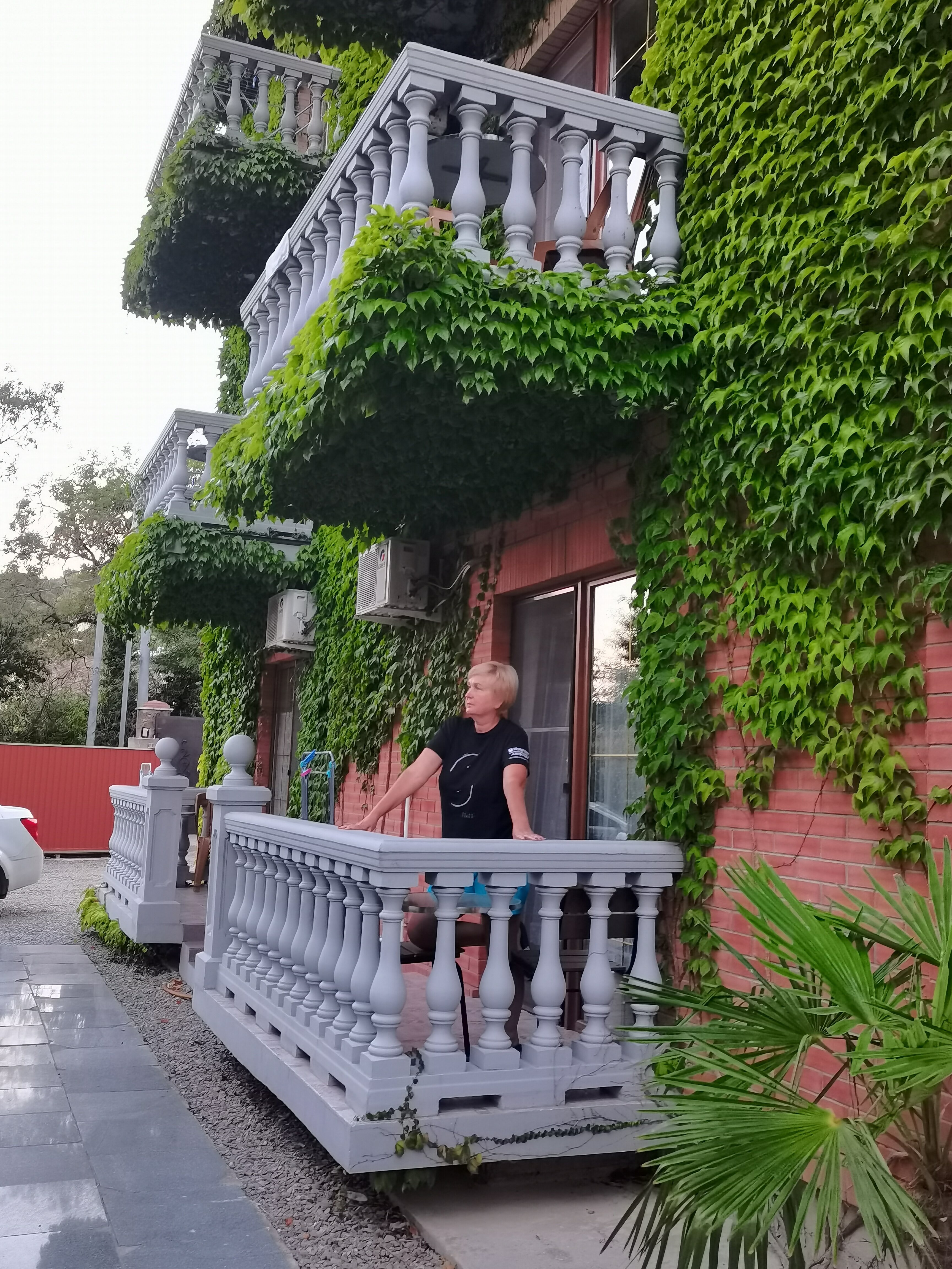 Фото Дача Дриада