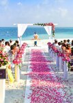 HappyGoEventsDubai (Al Fajer Complex Residence, Oud Metha, Bur Dubai, Dubai), organization of events