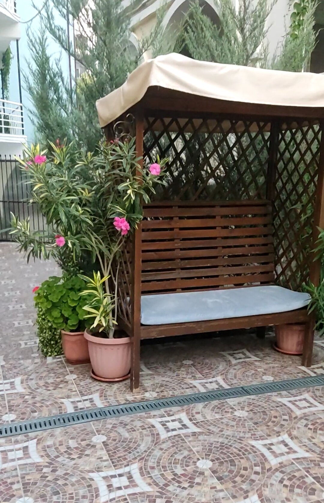 Фото Ориентал