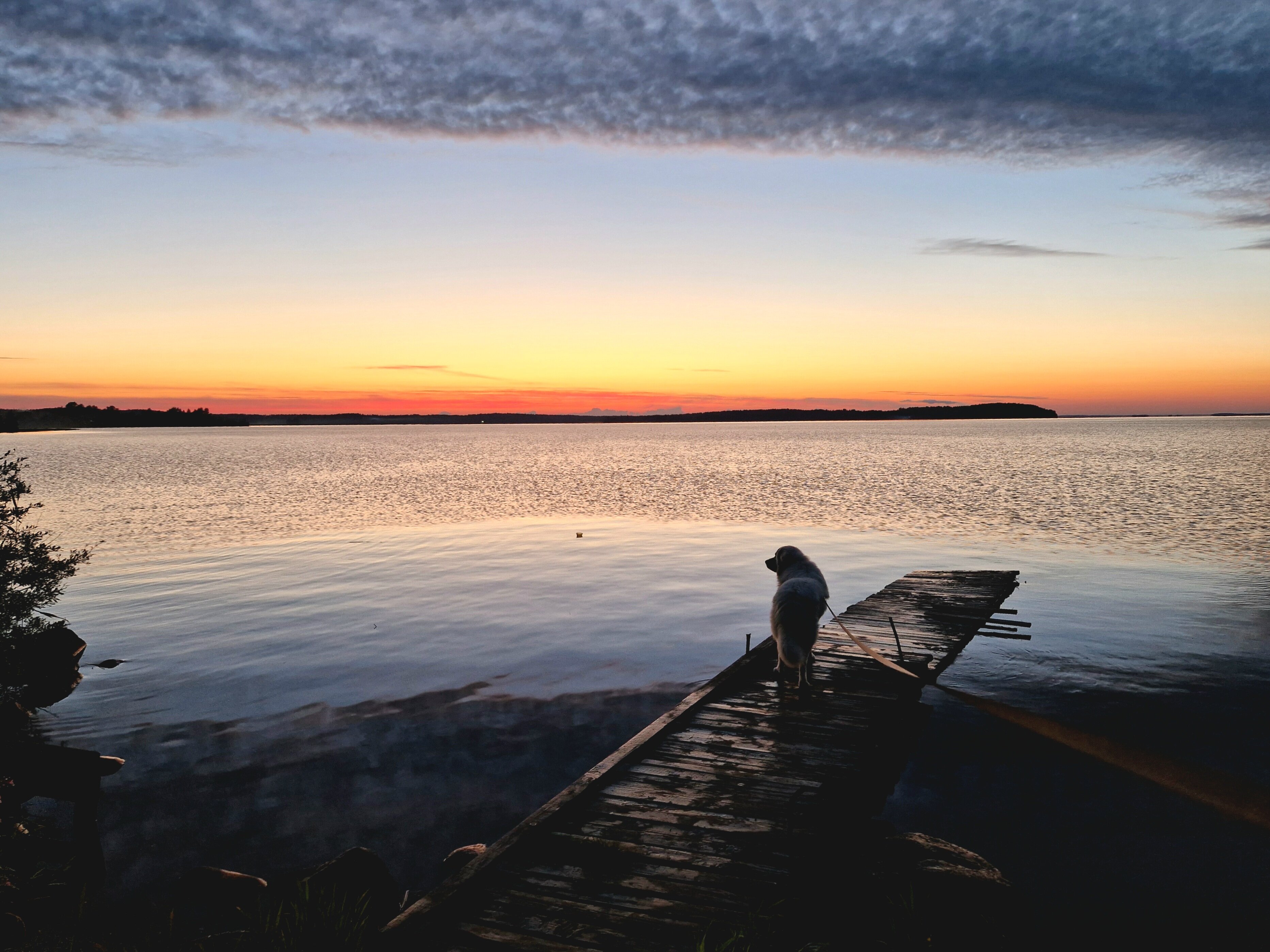 Фото Kodi järvi