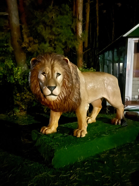 Фото Введенский